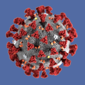 Corona-Virus - Symbolbild